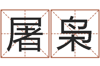 屠枭风水师论坛-软件公司名字