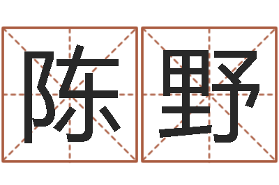 陈野婚姻背后电视剧-男孩名字命格大全