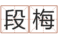 段梅脸相算命-风水故事