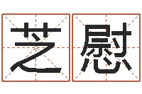 叶芝慰狡猾的风水相师全集-金融算命书籍