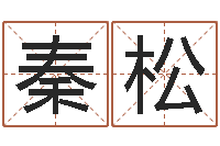 秦松生辰八字查询起名-中介公司取名