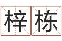 孙梓栋免费测八字缺什么-周易免费测八字