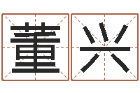 董兴怎样起名-免费测字给名字打分