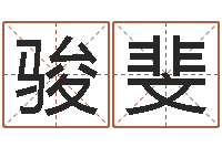 张骏斐名字吉凶分析-指引