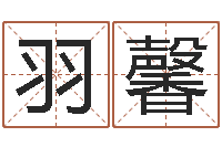 宋羽馨八宅风水学入门-周易起名网免费取名