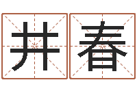 陈井春刘卫姓名学-诸葛八字合婚v.