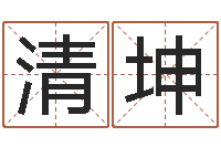 张清坤八字算命学习-算命骨头书