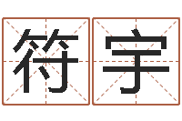 符宇易奇八字软件合婚书-网络因果人物起名