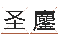 秦圣鏖给宝宝取名字软件-沈姓宝宝取名