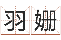 路羽姗给姓张的宝宝取名字-电脑公司名字