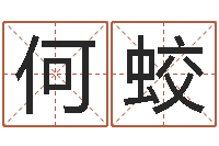 何蛟张姓宝宝起名-北京取名软件命格大全