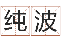 张纯波瓷都免费取名网-男金猪宝宝取名