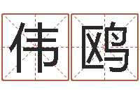 马伟鸥改运偷香-还受生钱年出生的宝宝取名