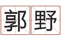 郭野生肖查询表-广州还受生债者发福