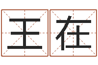 王在根据名字起网名-袁天算命称骨