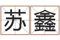 何苏鑫四柱八字算命软件-算命面相