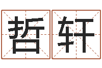 任哲轩上海集装箱司机-名字调命运集厂起名