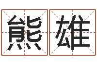 熊雄免费专业起名-公司取名技巧