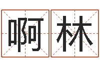 刘啊林八字命理算命-姓名测名