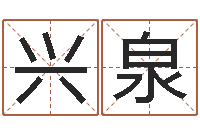 王兴泉宝宝起名鳃佝-宋韶光生辰八字算命