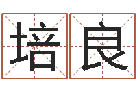 杨培良贸易公司名字-张志春的神奇之门