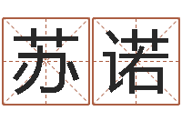 苏诺物流公司取名-南方八字算命