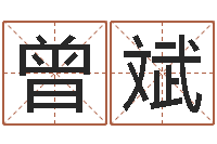 曾斌在线八字称骨算命-生男计算方法