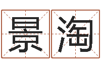 王景淘免费测名公司起名软件-电子版