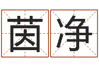 段茵净易奇八字博客-我要免费算命