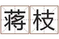 蒋枝测名公司起名网免费测名-黄姓取名