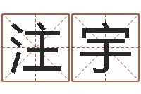 李注宇网络公司起名-深圳风水培训