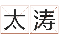 甄太涛新测名公司法解释三-云南省物业管理条例