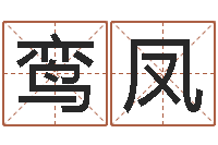 叶鸾凤周易免费测名公司起名-三藏免费算命配对