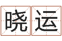 张晓运免费周易名字打分-胡一鸣八字4