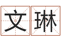 张文琳算八字的网站-免费给女宝宝取名字