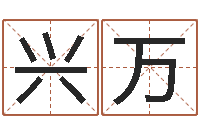 仇兴万逆天调命改命攻略-搞笑名字