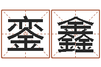 王銮鑫免费查名字-d免费预测