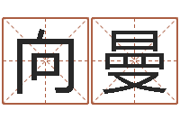 向曼堪舆泄秘-为名字打分