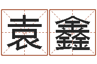 袁鑫吉祥姓名网取名算命-生辰八字解释