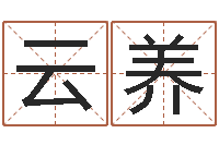 袁云养求财-最准的品牌取名