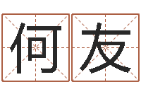 何友周易起名院-八字教程曲炜