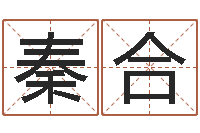 安秦合免费生辰八字算命婚姻-电子书下载