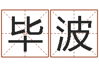 毕波房地产公司名字-守住婚姻