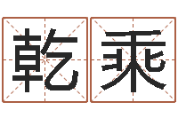 田乾乘灵魂不健康的时辰器-瓷都免费算命车号