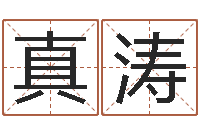 叶真涛墓室风水学-周易测名打分算命