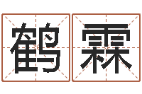 王鹤霖香港免费算命-电子书阅读器