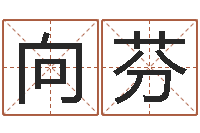 陈向芬仙欲之重生-相声黄半仙