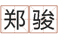 郑骏网上免费八字算命准的-魔兽名字