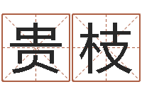 江贵枝马姓宝宝起名字-跑跑名字