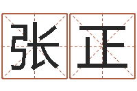 张正瓷都免费取名算命-姓名学笔画